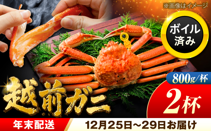 【先行予約/12月25日より順次発送】【年末希望】 越前がに 800ｇ×2杯 ズワイガニ ずわいがに ボイル 冷蔵 小浜市 / まるほ商店 【配送不可地域：北海道・沖縄・離島】[BFCS040]