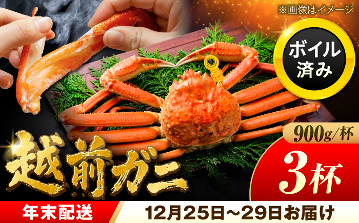 【先行予約/12月25日より順次発送】【年末希望】 越前がに 900ｇ×3杯 ズワイガニ ずわいがに ボイル 冷蔵 小浜市 / まるほ商店 【配送不可地域：北海道・沖縄・離島】[BFCS044]