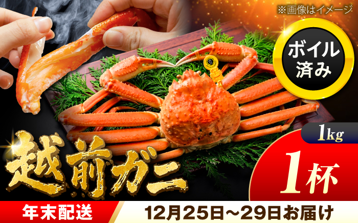 【先行予約/12月25日より順次発送】【年末希望】 越前がに 1kg×1杯 ズワイガニ ずわいがに ボイル 冷蔵 小浜市 / まるほ商店 【配送不可地域：北海道・沖縄・離島】[BFCS045]