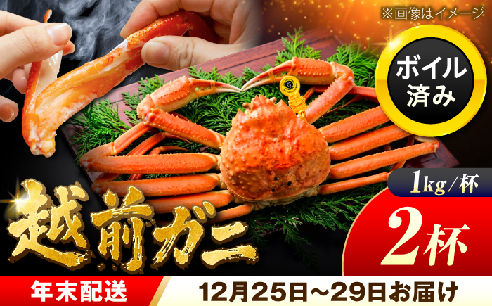 【先行予約/12月25日より順次発送】【年末希望】 越前がに 1kg×2杯 ズワイガニ ずわいがに ボイル 冷蔵 小浜市 / まるほ商店 【配送不可地域：北海道・沖縄・離島】[BFCS046]