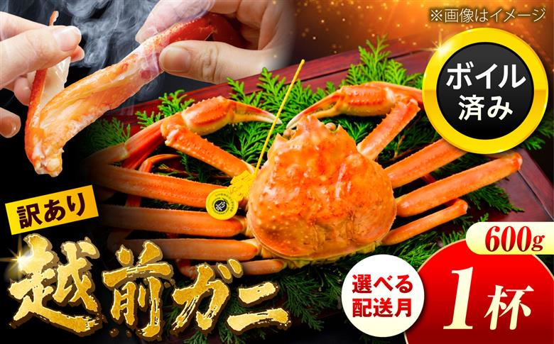 【先行予約/11月7日より順次配送】訳アリ 脚折れあり 越前がに 600ｇ×1ハイ 小浜市 / まるほ商店【配送不可地域：北海道・沖縄・離島】 [BFCS062]