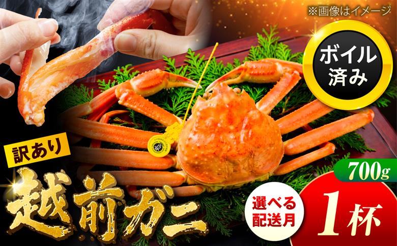 【先行予約/11月7日より順次配送】訳アリ 脚折れあり 越前がに 700ｇ×1ハイ  小浜市 / まるほ商店【配送不可地域：北海道・沖縄・離島】[BFCS065]