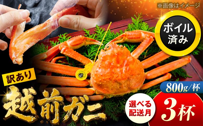 【先行予約/11月7日より順次配送】訳アリ 脚折れあり 越前がに 800ｇ×3ハイ  小浜市 / まるほ商店【配送不可地域：北海道・沖縄・離島】[BFCS070]