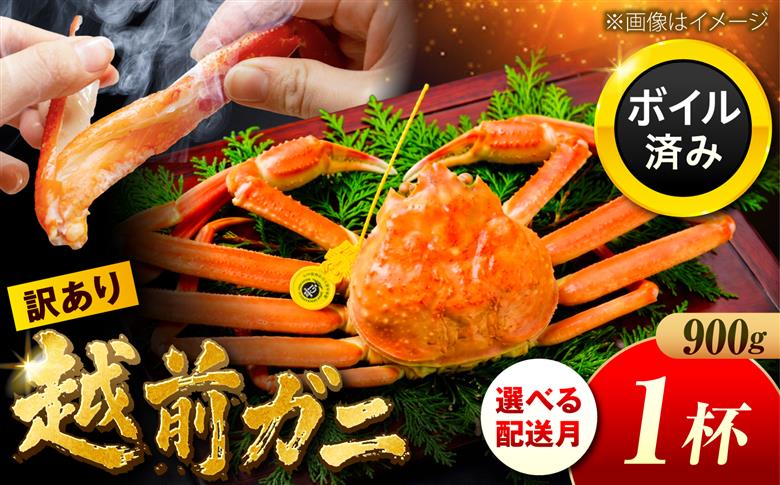 【先行予約/11月7日より順次配送】訳アリ 脚折れあり 越前がに 900ｇ×1ハイ 小浜市 / まるほ商店【配送不可地域：北海道・沖縄・離島】 [BFCS071]