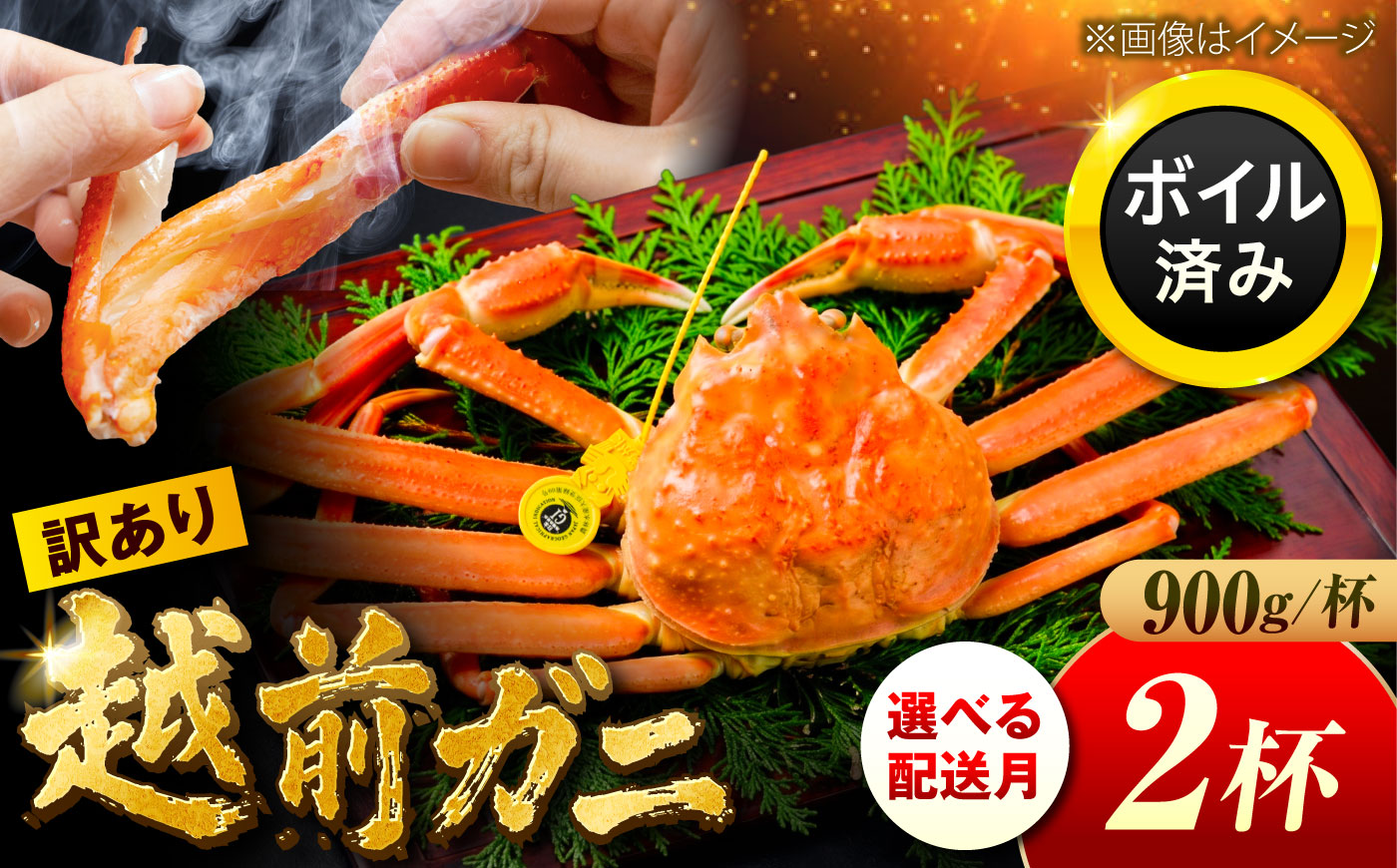 【先行予約/11月7日より順次配送】訳アリ 脚折れあり 越前がに 900ｇ×2ハイ  小浜市 / まるほ商店【配送不可地域：北海道・沖縄・離島】[BFCS072]