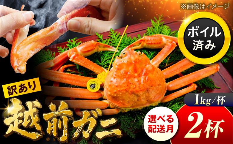 【先行予約/11月7日より順次配送】訳アリ 脚折れあり 越前がに 1kg×2ハイ 小浜市 / まるほ商店【配送不可地域：北海道・沖縄・離島】 [BFCS075]