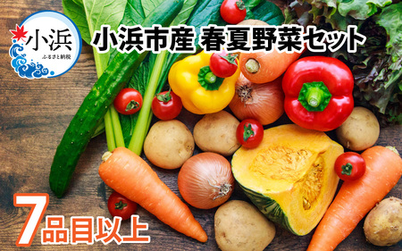 小浜市産 春夏野菜セット 7品目以上[BFDB002]