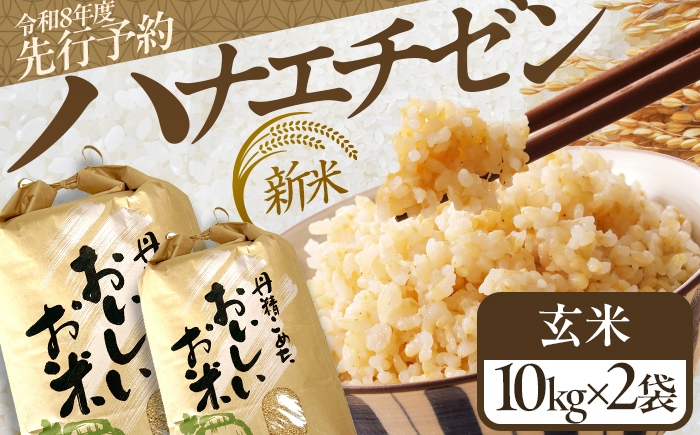 【令和8年産 新米】 【先行予約 /8月下旬より順次発送 】 ハナエチゼン 玄米 10kg×2 （20kg） / 米 お米 健康 小浜市 / 北川博司 [BFDG005]