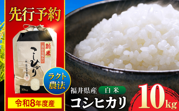 【令和8年産 新米】 【 先行予約 /9月中旬から発送】　福井県産 ラクト農法 コシヒカリ 白米 10kg / 米 お米 精米 国産米   / 小浜市 / 北川博司 [BFDG006]