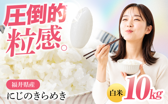 福井県産 にじのきらめき　白米 10kg [BFDG009]