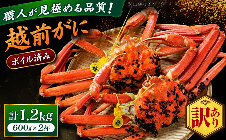 【先行予約/11月18日より順次配送】【訳あり】越前がに 600g×2杯 茹で 福井県産ズワイガニ 脚折れ・欠け / かに カニ 蟹 越前ガニ ズワイガニ ボイル / 小浜市 / 一進わかさ【配送不可地域：北海道・沖縄・離島】 [BFES018]