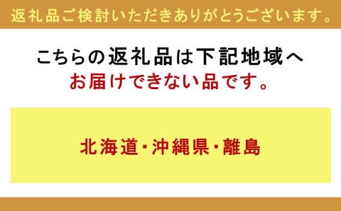 老舗和菓子店　福井県大野市冬の名物 でっち羊かん 小サイズ（約240g）× 5箱