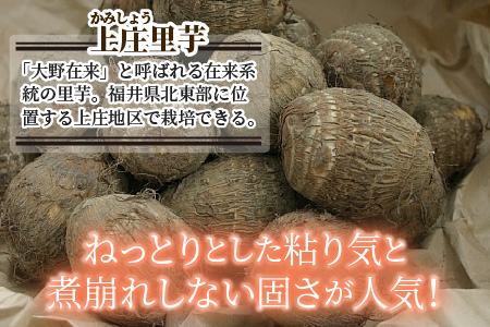 【今期最後の受付！～2023年3月31日まで】日本の美味い里芋！秋の味覚 上庄里芋 3kg【発送は～4月7日で終了】[A-001047]