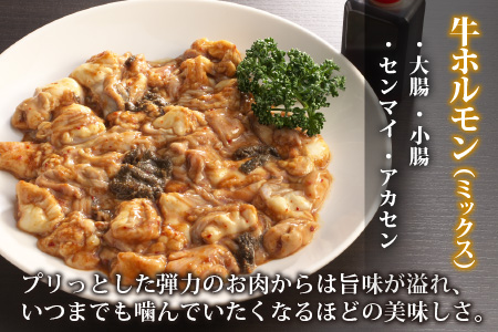 ホルモンの老舗　六間星山の牛ホルモン(ミックス) 500g×2袋 計1kg [A-026001]