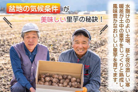 希少！とみた里芋 3kg ねっとりまろやか煮崩れなし！【年内出荷】 [A-001012]