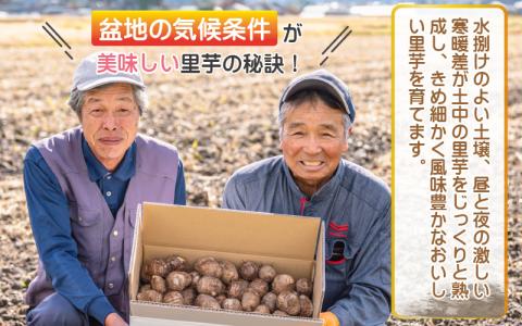 希少！とみた里芋 5kg ねっとりまろやか煮崩れなし！【11月～年内出荷】 [A-001048]