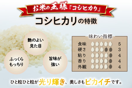 【令和5年産】【3ヶ月定期便】福井県大野市産 JGAP認証 コシヒカリ「あかね」10kg [C-007001]