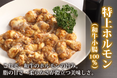 【お試しセット】とんちゃん祭2012年優勝商品！特上ホルモン（和牛小腸100％）（500g×1袋） [A-026003]