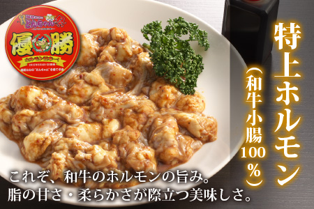 【3ヶ月定期便】六間星山のホルモン食べ比べセット1.5kg（500g×3袋）×3回　合計4.5kg[E-026001]