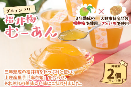 【アレルギー対応スイーツ】まなひめむーあんＢ 6個 詰合せ【里芋ベースのゼリー風スイーツ】(石川県の高級ぶどうルビーロマンと三年熟成の福井梅を丸ごと使用)【グルテンフリー】[A-031007]