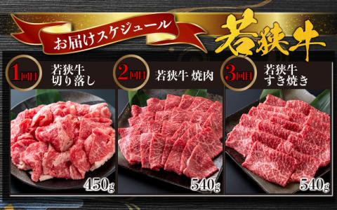 【肉の定期便×3回コース】肉好き大集合！若狭牛 食べ比べ 定期便！【福井のブランド牛肉】【4等級以上】[E-054003]
