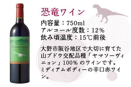 ＦＵＫＵＩ　恐竜ワイン＆ルージュ  750ml×2本 計1500ml　[B-021003]