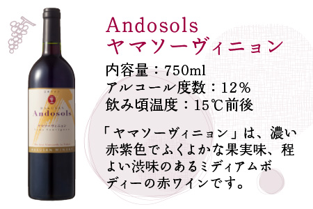 Ａｎｄｏｓｏｌｓ赤ワイン＆恐竜ワインセット[D-021003]