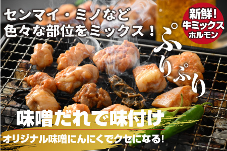 大美のとんちゃん（ミックス）牛ホルモン ミックス 味噌ダレ 1.5kg（500g×3パック）