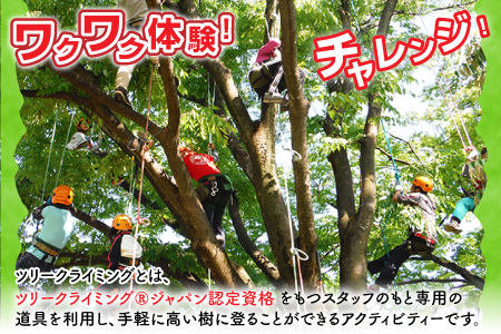 ワクワク 木登り体験！ツリークライミング＆森カフェ2名様分[B-010001]