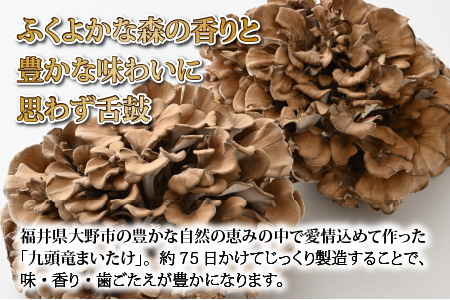 九頭竜まいたけ 2株入り [A-038001]