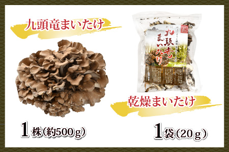 九頭竜まいたけとうま煮・ごはんの素など加工品セット(Aセット)[A-038002]