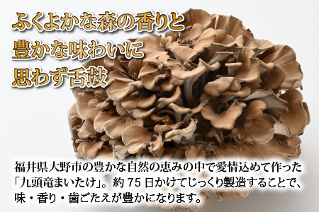 九頭竜まいたけ 1株入り [A-038003]