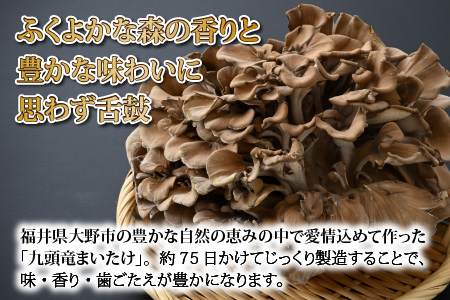 九頭竜まいたけ 3株入り [A-038004]