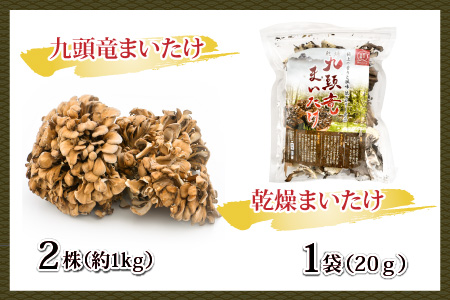 九頭竜まいたけとうま煮・ごはんの素など加工品セット(Bセット)[A-038005]