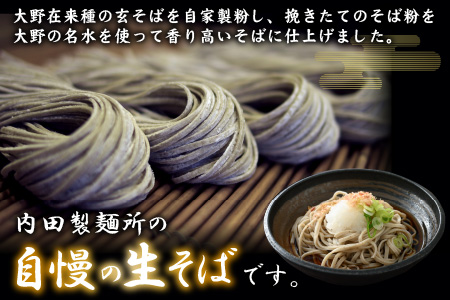 越前大野産 石臼挽き 越前そば 生そば8食（つゆ付）[A-018010]