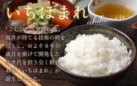 【福井のブランド米】【令和7年産 新米】【特A獲得】いちほまれ無洗米＋九頭竜まいたけカレーセット[A-054027]