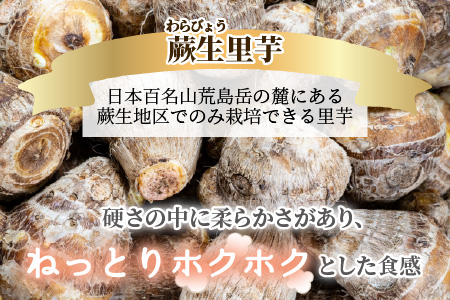 【年内お届け】日本百名山 荒島岳の麓で育てた 蕨生（わらびょう）里芋 3kg【11月～年内出荷】[A-001010]