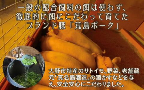 ブランド豚 荒島ポークプレミアムハンバーグ[A-048003]