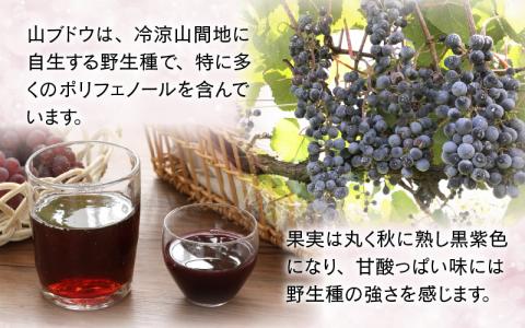 【白山ワイナリー】白山やまぶどう原液＆ジュースセット