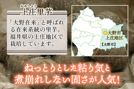 【12月出荷】越前大野の味自慢！上庄里芋とコシヒカリの詰合せ 計4kg（上庄里芋2kg コシヒカリ2kg×1袋）[A-001046]