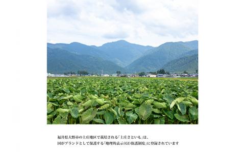 里芋のトップブランド「上庄さといも」10kg[B-011003]