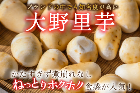 【令和7年産 収穫開始！】簡単手間なし！冷凍のまま調理！大野の里芋の洗い子 1kg×1袋[A-001045]