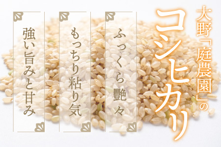 【令和7年産 新米】【有機栽培】越前大野産 エコファーマー認定農家栽培 コシヒカリ10kg（玄米）[A-001037]