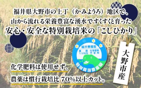 【令和7年産 新米】ベストファーマー ほたるの里 特別栽培こしひかり 5kg 化学肥料不使用 農薬70％以上カット【10月より順次発送】[A-002003]
