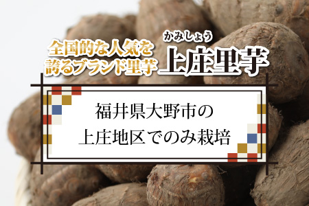 【先行予約】【年内発送】減農薬・減化学肥料の特別栽培里芋上庄里芋 土芋5kg 農家直送【10月～年内出荷】