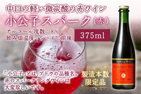 スパークリングワイン 赤 ＆ ロゼ 375ml 2本セット [A-021006]