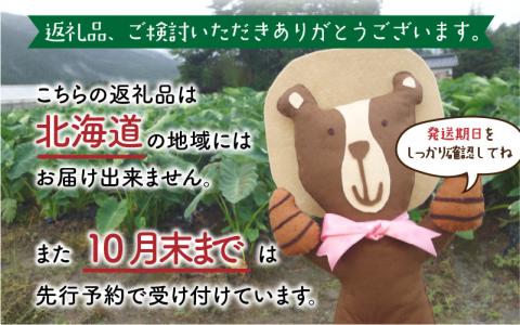 【年内お届け】上庄里芋「麻奈姫」2kg「農家直送」