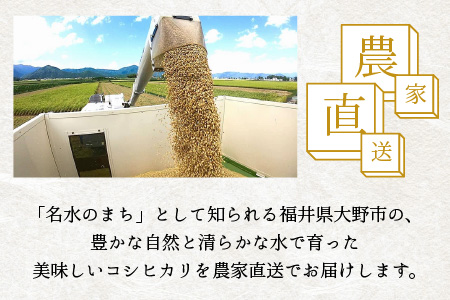 【令和5年産】福井県大野市産 コシヒカリ 白米 精米 10kg 農家直送 [A-013012]