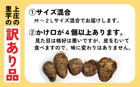 訳あり！上庄の里芋　5kg【土付】