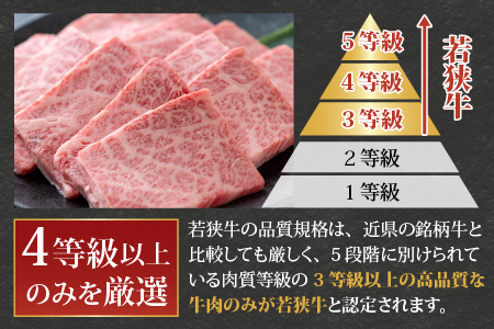 【福井のブランド牛肉】若狭牛 上カルビ 焼肉用   350g×1パック【4等級以上】[B-054005]